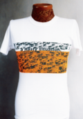 t-13.png