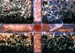 作品26.png