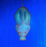 カバ絵画.png
