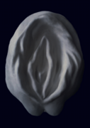 作品9.png